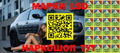 a pvp Ставрополь