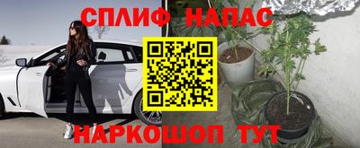 a pvp Ставрополь