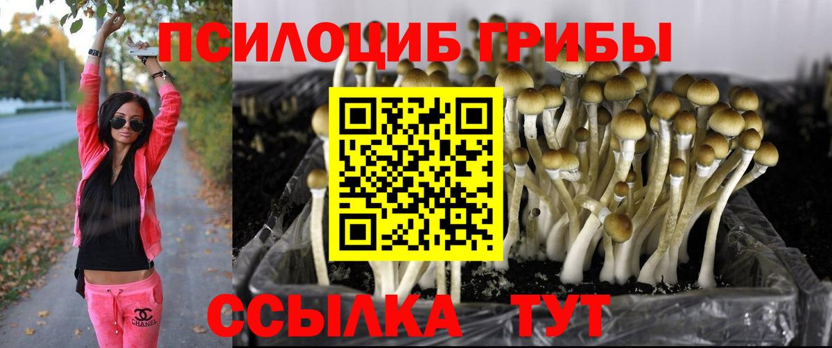 Псилоцибиновые грибы Cubensis  Вход с VPN  Похвистнево 