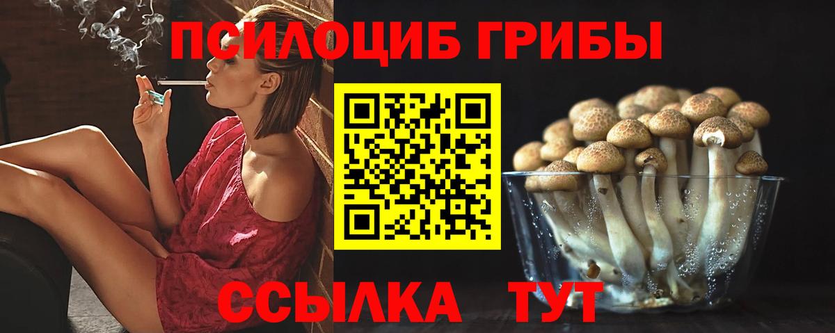 Псилоцибиновые грибы мицелий Похвистнево
